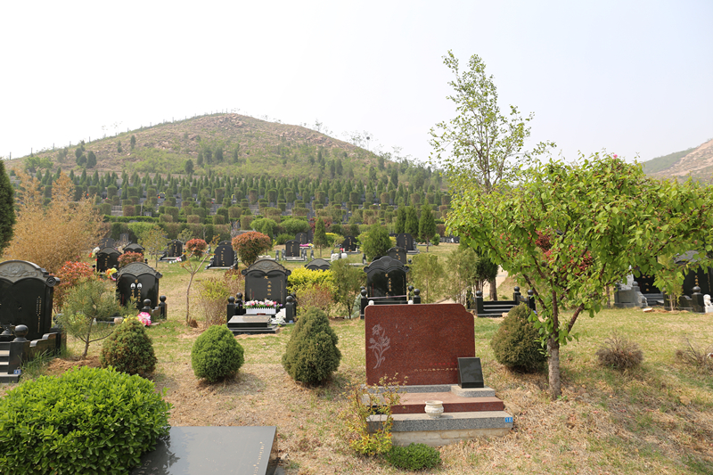 古中山陵园墓区环境