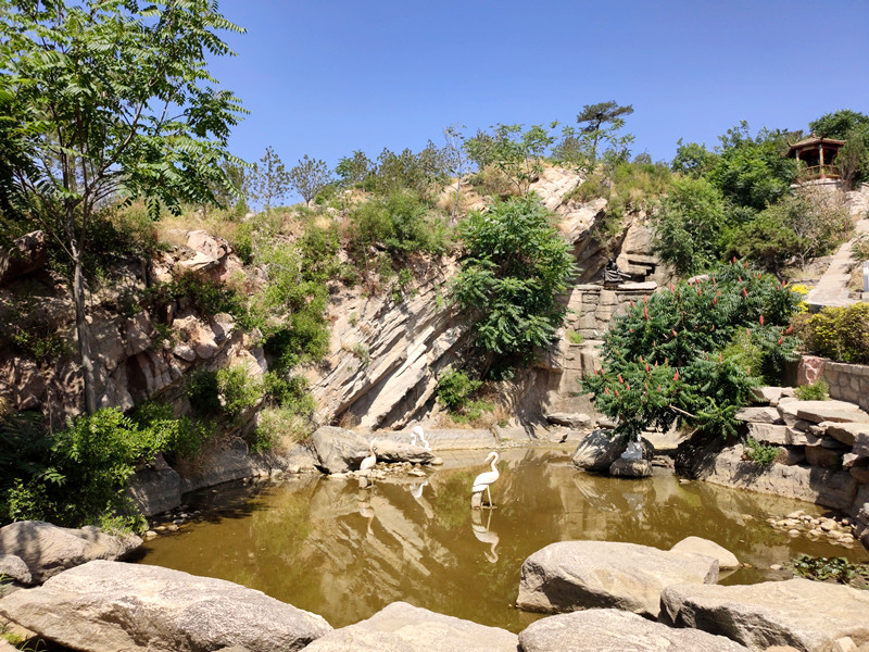 古中山陵园景观