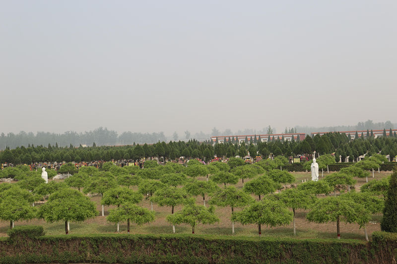 常山陵园环境