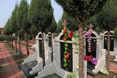 最好的墓地风水格局是怎样的,如何选墓地风水