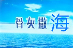 石家庄市2020年9月撒海活动安排