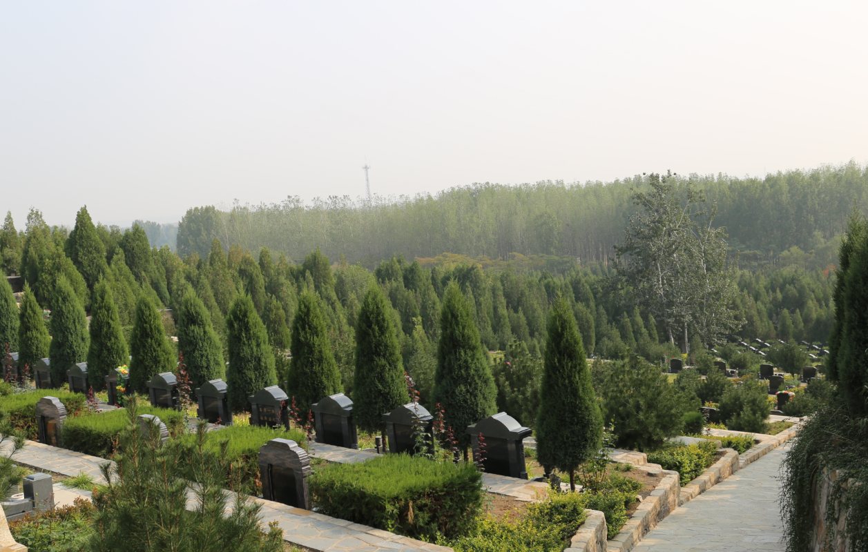 石家庄墓地排名哪个好，哪个价格实惠