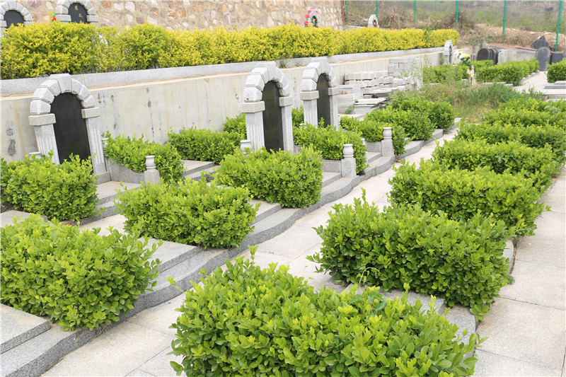 墓区景观,非常喜欢神岩山公墓的绿化