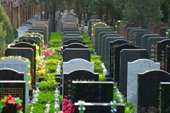 殡葬行业其实也蛮高科技的！