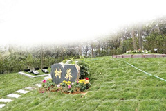 自然葬--现代生态文明与中国传统殡葬文化完善融合的新型葬法