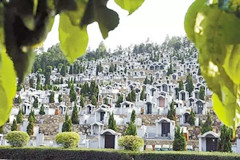 解读《殡葬管理条例（征求意见稿）》：公墓篇
