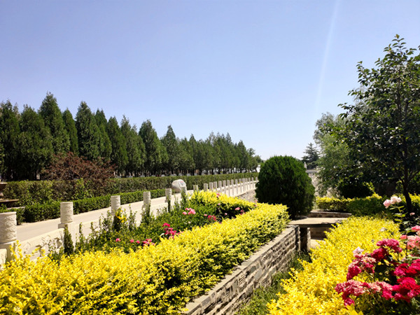 古中山陵园景观