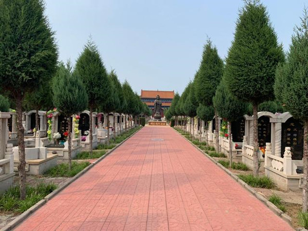 常山陵园道路景观 常山陵园道路景观