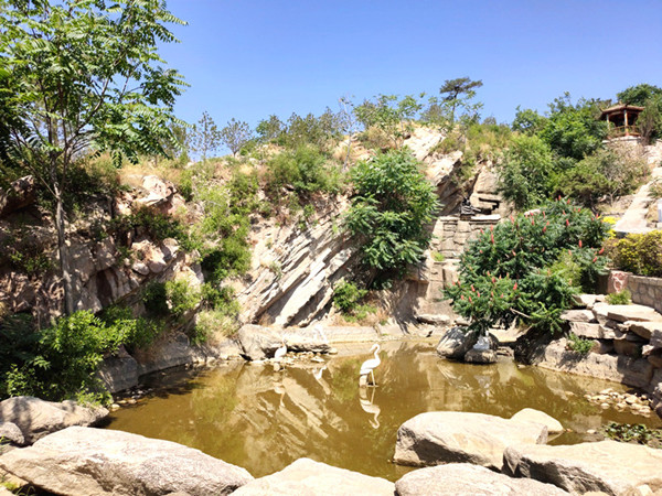 古中山陵园水系环境