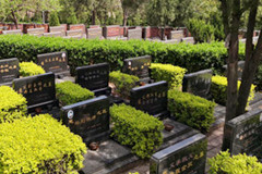 石家庄市东潘庄村墓地有吗位置在哪合法吗