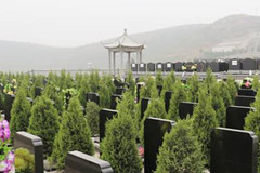 井陉县天安堂公墓在什么位置？自选墓地多少钱？
