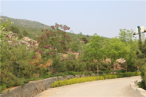 道路风景