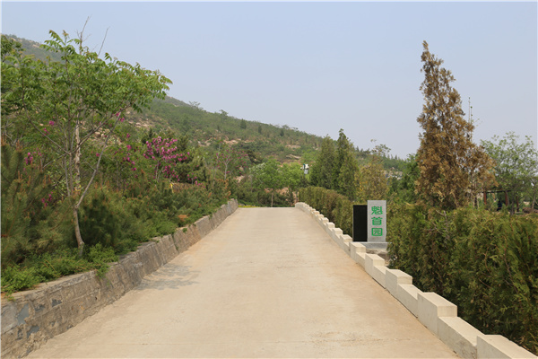 道路风景