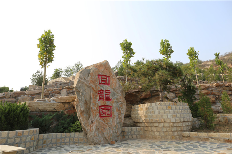回龙园.jpg