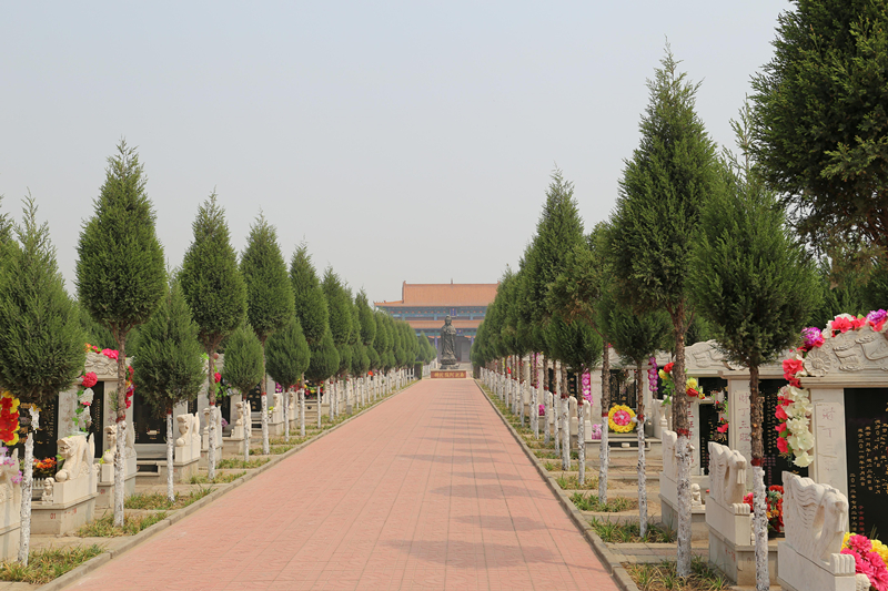 常山陵园墓区环境