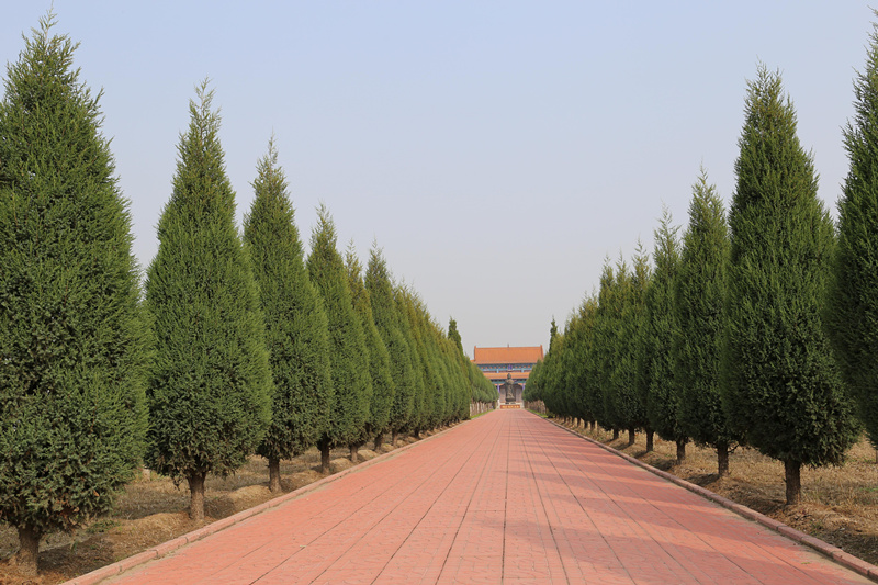 常山陵园环境