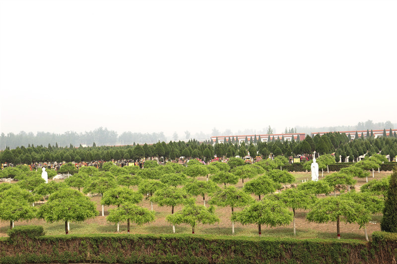 常山陵园环境