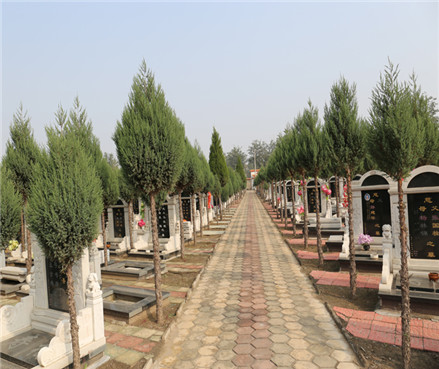 常山陵园公墓墓区