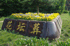 一场花坛葬或成中国殡葬业的新趋势