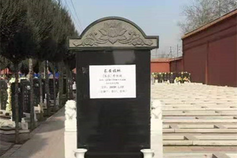 石家庄常山陵园较便宜的墓型有哪些？什么价格？