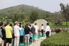 古中山陵园·清明节活动锦集