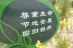 石家庄节地生态安葬减免补贴多少钱
