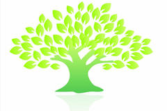 石家庄培育生态殡葬理念 推行绿色环保举措