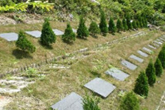 公益性墓地有保障吗？是国家认可的吗