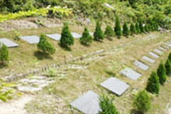 公益性墓地对外销售犯法吗？谁来给说下