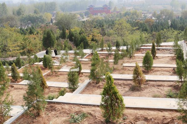 古中山陵园树葬