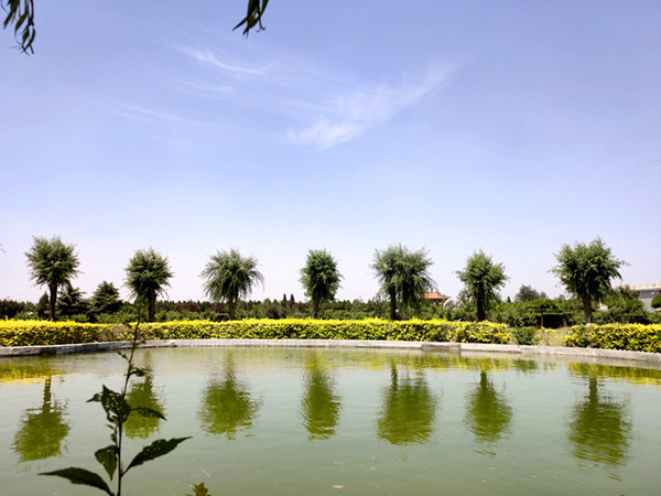 石家庄常山陵园景观