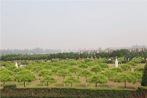 常山陵园景观