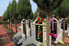 石家庄常山陵园通几路公交?联系电话多少？