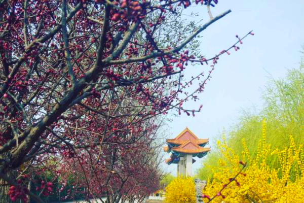 常山陵园景观