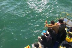 石家庄骨灰海撒在哪？时间多会？