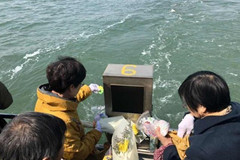 河北海葬奖励多少钱？骨灰海撒价格明细？
