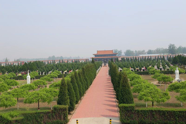 陵园道路风景