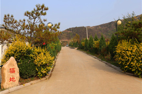 道路景观