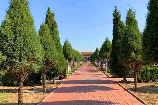 道路景观