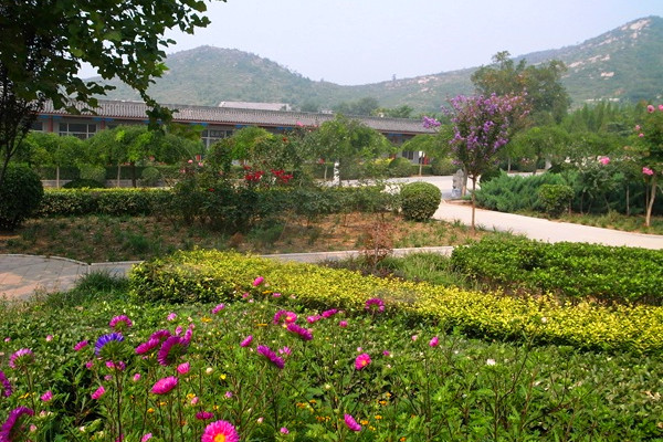 陵园环境景观
