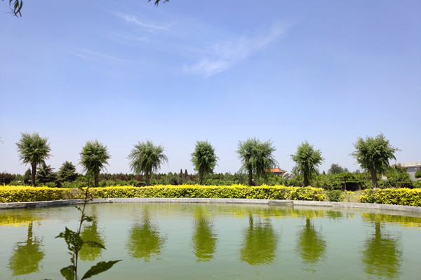 陵园水系景观