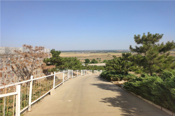 石家庄陵园道路风景