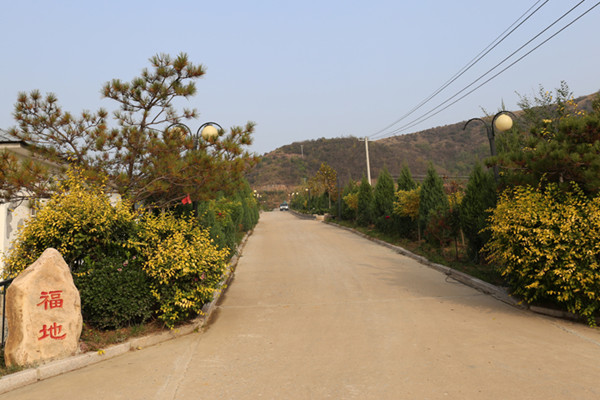 道路景观