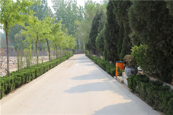 道路风景