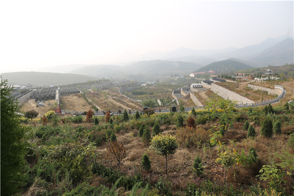 陵园环境