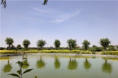 石家庄市常山陵园是民政正规合法的吗？墓地地址在哪