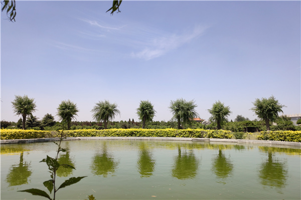 水系风景