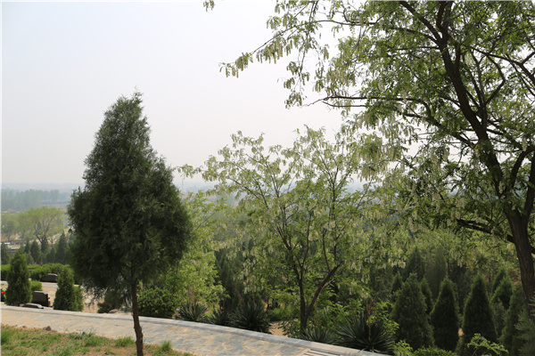 绿化风景