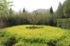 石家庄元氏县墓地大全-元氏县神岩山公墓价格、位置、合法