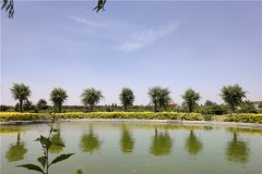 石家庄墓地最新价格-石家庄常山陵园价格多少钱